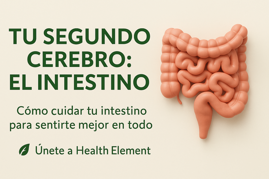 Tu segundo cerebro: cómo cuidar tu intestino para sentirte mejor en todo
