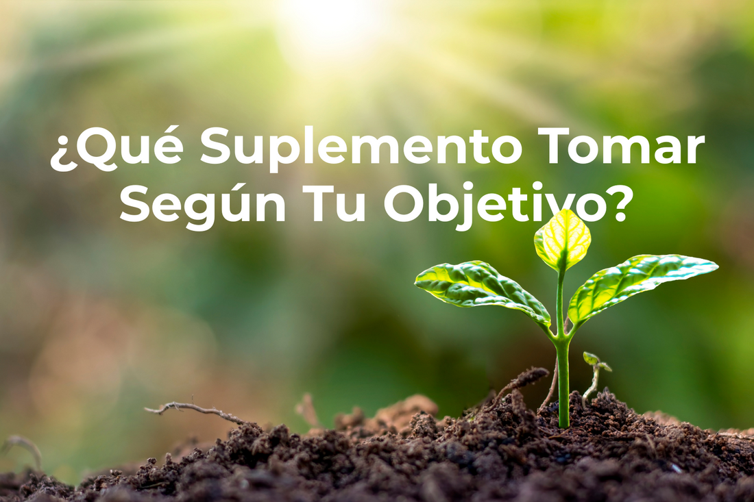 ¿Qué Suplemento Tomar Según Tu Objetivo?