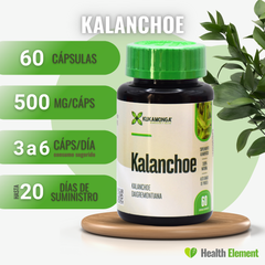 Kalanchoe 60 cápsulas - KUKAMONGA