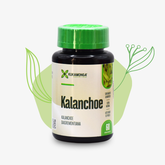 Kalanchoe 60 cápsulas - KUKAMONGA