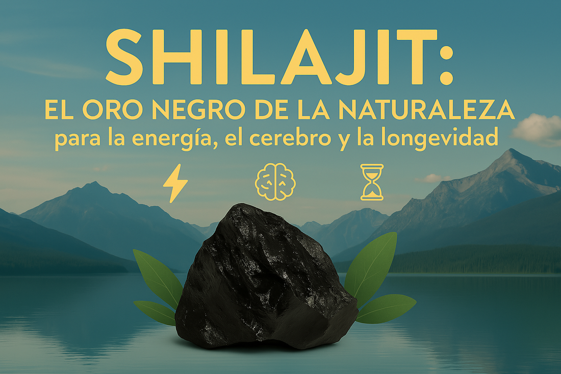 Shilajit: El Oro Negro de la Naturaleza