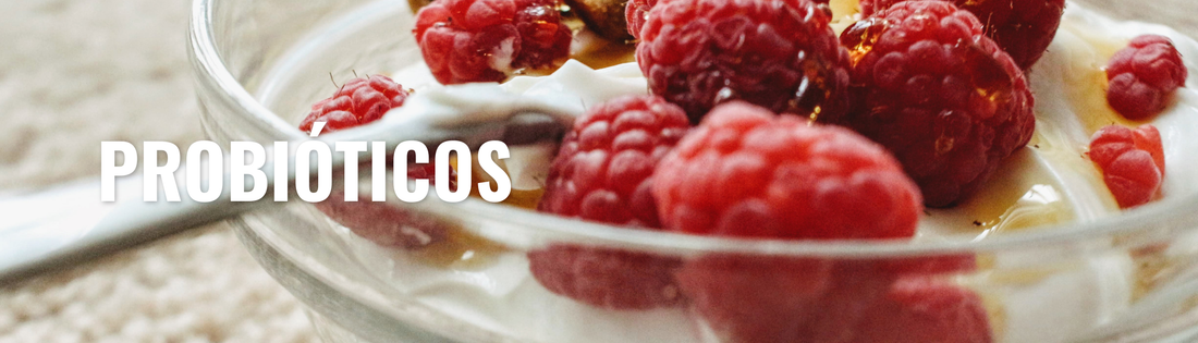 Probioticos y mas