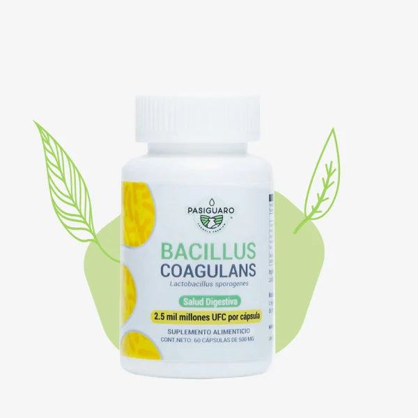 Bacillus coagulans 60 capsulas de 500 mg Pasiguaro