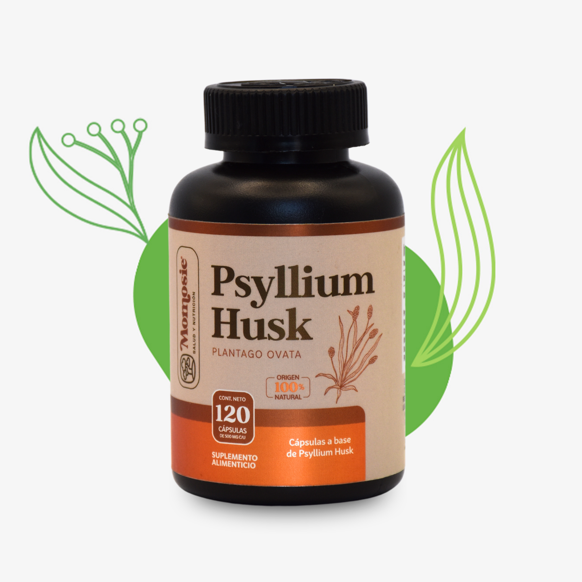 Psyllium Husk 60 cápsulas – MOMOSIE